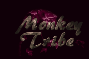 Monkey Tribe